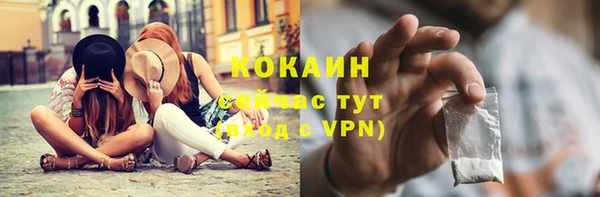 дживик Белоозёрский