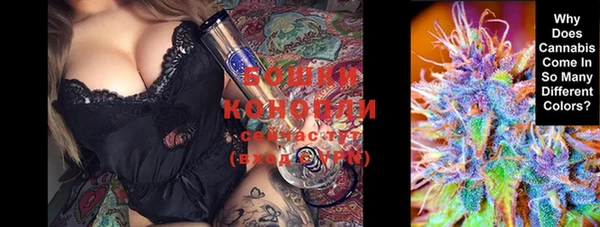 дживик Белоозёрский